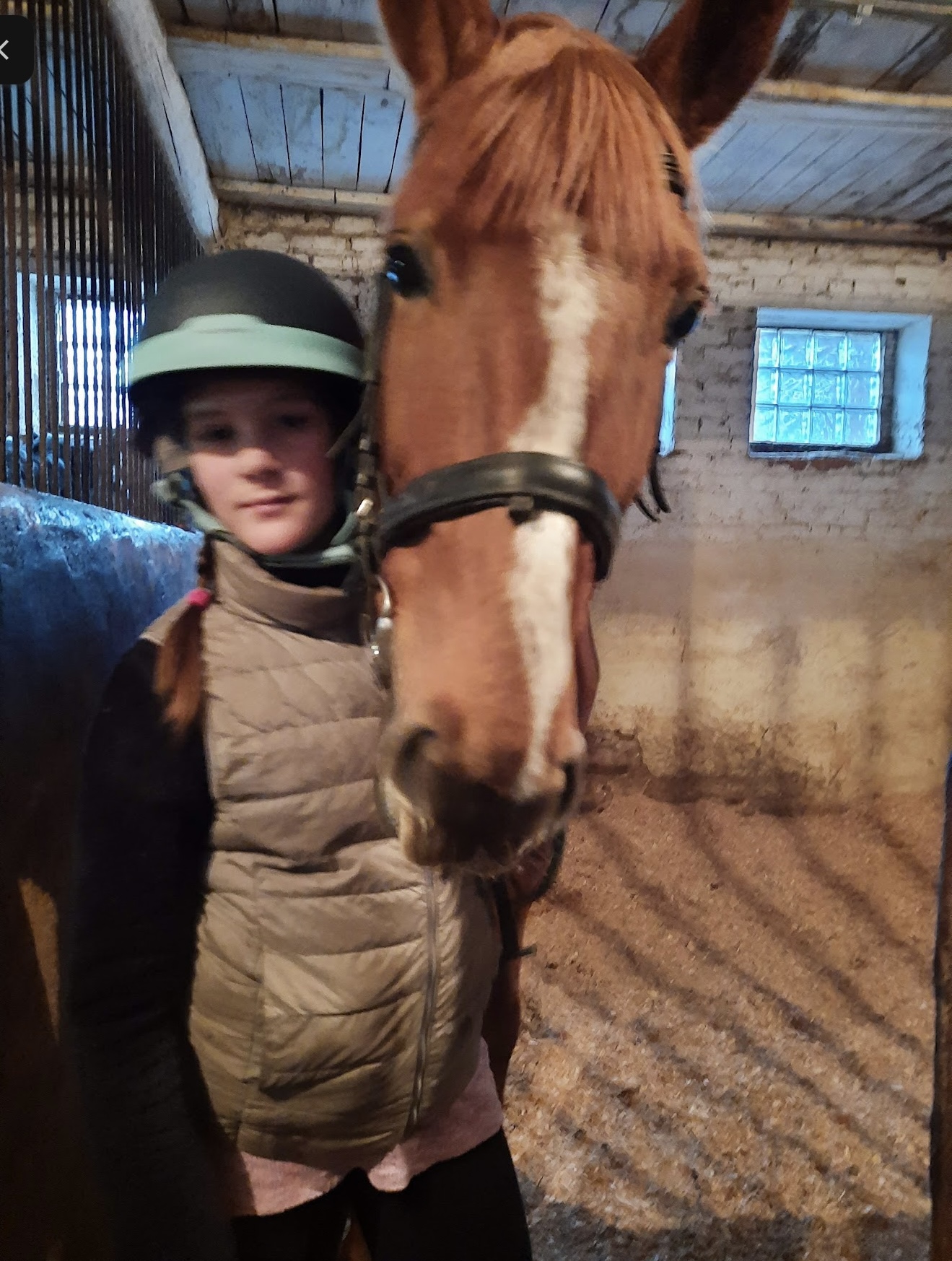 Equestrian training